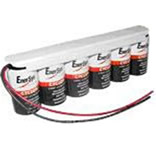 Enersys Cyclon 0810-0109 Battery