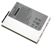 RX10 battery