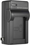 NP-100 charger