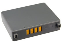 CGA-S303, VW-VBE10 battery