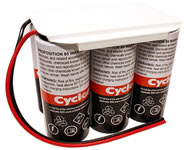 Enersys Cyclon 0850-0115 Battery