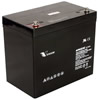 12 volt 55Ah SLA battery