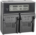 Dual VW-VBD58 charger