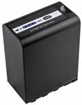 Panasonic VW-VBD98 battery
